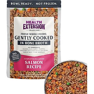 Health Extension Gently Cooked Grain-Free Salmon Recipe Wet Dog Food, 9-oz pouch, 1 count