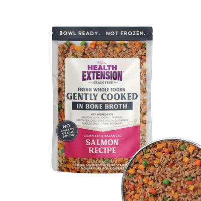 Show full view: Health Extension Gently Cooked Grain-Free Salmon Recipe Wet Dog Food, 9-oz pouch, 1 count slide 1 of 11