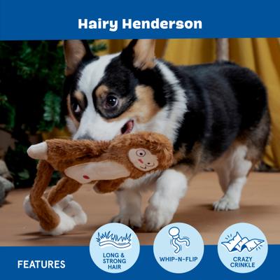 Show full view: BARK Hairy Henderson Plush Dog Toy, Multi Colored slide 3 of 7
