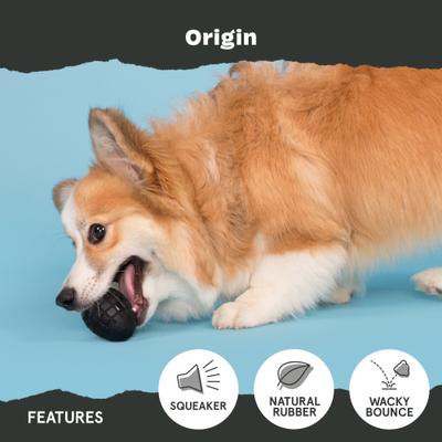 Show full view: BARK Origin Dog Chew Toy, Multi Colored, Small slide 3 of 8