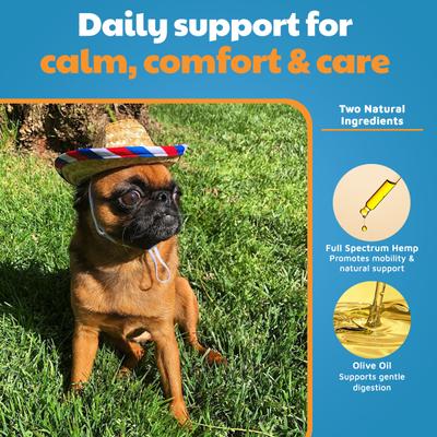 Show full view: VetHemp Calming Hemp Tincture for Dogs & Cats, 250mg slide 5 of 7