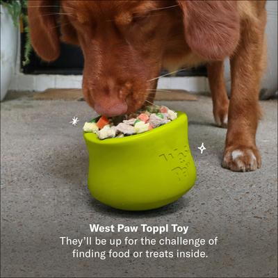 Show full view: Nom Nom Enrichment Kit: Fresh Frozen Dog Food + Beef & Blueberry Dehydrated Treats + Nina Ottosson Tornado Toy + West Paw Treat Dispensing Toy slide 4 of 7