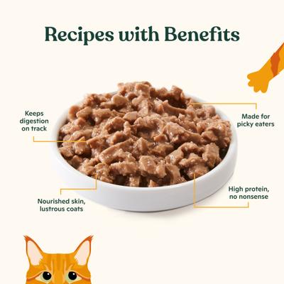 Show full view: Made by Nacho Chicken Recipe Minced Wet Kitten Food, 3-oz can, case of 6 slide 4 of 8