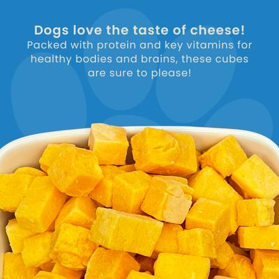 Show full view: Muenster Perfect Balance Cheese Bites Freeze-Dried Dog Treats, 5-oz bag slide 10 of 11