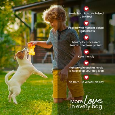 Show full view: Muenster Perfect Balance Beef Meatballs Freeze-Dried Dog Treats, 4-oz bag slide 6 of 11