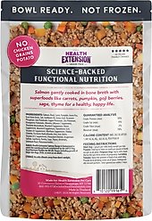 Health Extension Gently Cooked Grain-Free Salmon Recipe Wet Dog Food, 9-oz pouch, 1 count slide 2 of 9