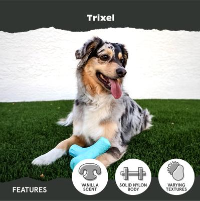 Show full view: BARK TRIXEL Dog Chew Toy, Multi Colored, X-Large slide 3 of 8