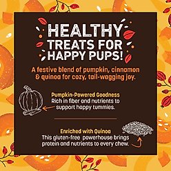 Earth Animal Wisdom Seasonal Pumpkin Spice Recipe Air-Dried Jerky Strips Dog Treats, 4-oz bag slide 2 of 7