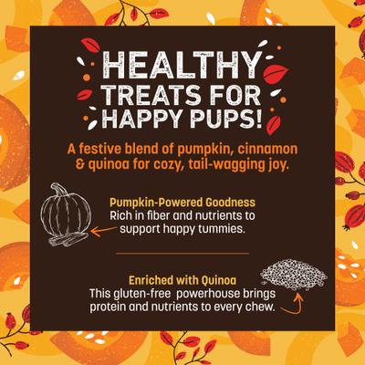 Show full view: Earth Animal Wisdom Seasonal Pumpkin Spice Recipe Air-Dried Jerky Strips Dog Treats, 4-oz bag slide 5 of 8