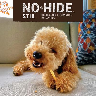 Show full view: Earth Animal Seasonal Stix Pumpkin Spice Recipe Rawhide-Free Dog & Cat Treats, 20 count slide 7 of 10