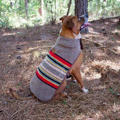 Show full view: Pendleton Vintage Camp Dog Coat, Mineral Umber, Large slide 2 of 4