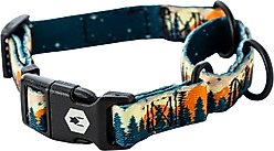Wolfgang Heavy Duty Overland Martingale Dog Collar with Quick Release, Medium: 12 to 18-in neck, 1-in wide slide 1 of 7