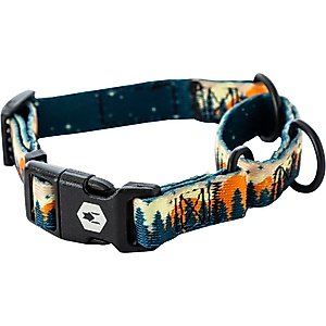 Euro-Dog Modern Leather Martingale Dog Collar