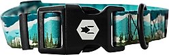 Wolfgang Heavy Duty GreatEscape Adjustable Dog Collar with Quick Release, Medium: 12 to 18-in neck, 1-in wide slide 2 of 6