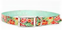 Zaley Designs Trim to Size Tropical Floral Polyurethane Dog Collar, Large: 15 to 25-in neck, 1-in wide