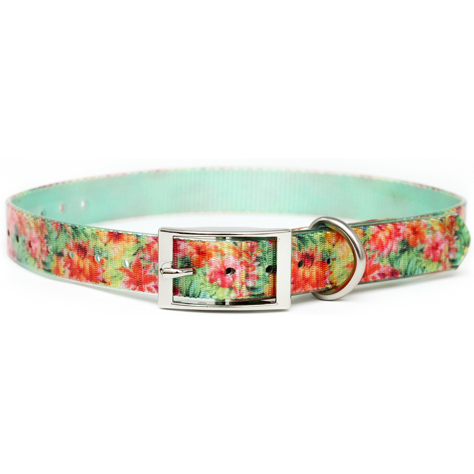 Zaley Designs Trim to Size Tropical Floral Polyurethane Dog Collar, Small: 9 to 16-in neck, 3/4-in wide
