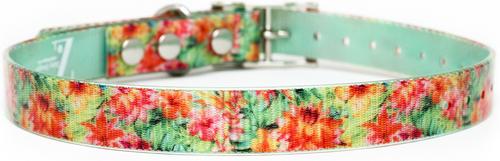 Show full view: Zaley Designs Trim to Size Tropical Floral Polyurethane Dog Collar, Small: 9 to 16-in neck, 3/4-in wide slide 2 of 5