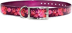 Zaley Designs Trim to Size Purple Floral Polyurethane Dog Collar, Large: 15 to 25-in neck, 1-in wide