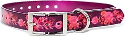 Zaley Designs Trim to Size Purple Floral Polyurethane Dog Collar, Small: 9 to 16-in neck, 3/4-in wide