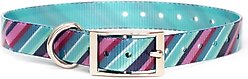 Zaley Designs Trim to Size Striped Dog Collar, Purple & Mint, Small: 9 to 16-in neck, 3/4-in wide
