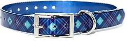 Zaley Designs Trim to Size Blue Plaid Polyurethane Dog Collar, Small: 9 to 16-in neck, 3/4-in wide