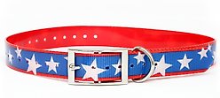 Zaley Designs Trim to Size Patriotic Stars Polyurethane Dog Collar, Large: 15 to 25-in neck, 1-in wide