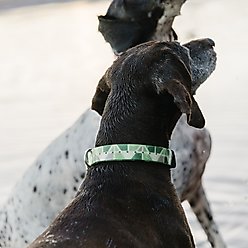Zaley Designs Trim to Size Green Mountains Geometric Polyurethane Dog Collar, Small: 9 to 16-in neck, 3/4-in wide slide 2 of 6