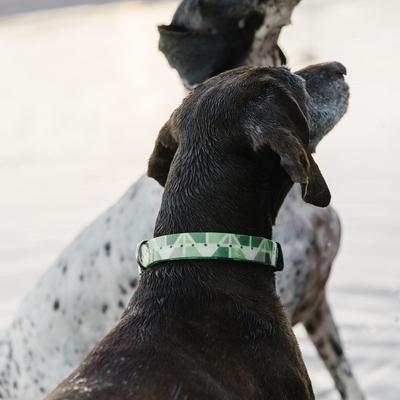 Show full view: Zaley Designs Trim to Size Green Mountains Geometric Polyurethane Dog Collar, Small: 9 to 16-in neck, 3/4-in wide slide 5 of 6