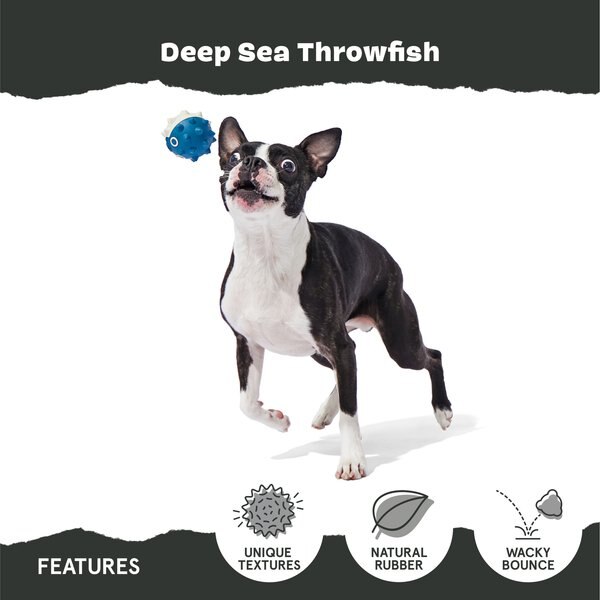 BARK Deep Sea Throwfish Dog Chew Toy