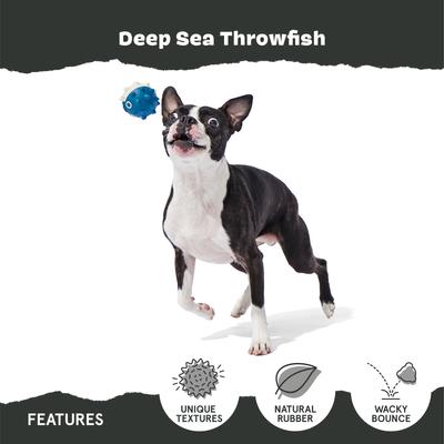 Show full view: BARK Deep Sea Throwfish Dog Chew Toy, Large slide 4 of 8