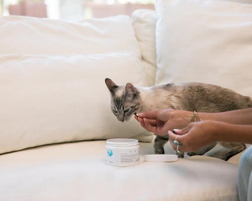 Show full view: ThorneVET Joint Support Formula Powder Supplement for Dogs, 120 scoops slide 4 of 10