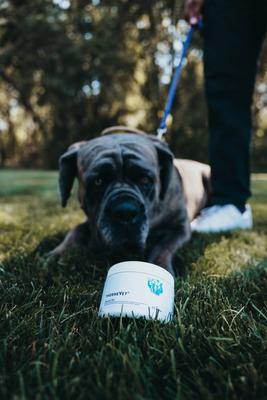 Show full view: ThorneVET Joint Support Formula Powder Supplement for Dogs, 120 scoops slide 7 of 10
