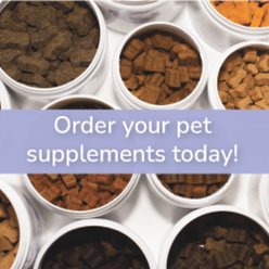 ThorneVET Joint Support Formula Chew Supplement for Dogs, 120 count jar slide 2 of 9