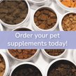 ThorneVET CurcuVET-SA50 Immune Chew Supplement for Dogs