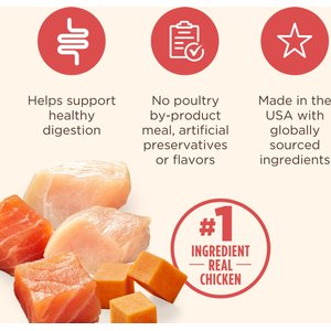 Rachael Ray Nutrish Gentle Digestion Real Chicken, Pumpkin & Salmon Recipe Premium Pate Wet Dog Food, 13-oz, case of 12 (Rachael Ray)