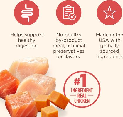 Show full view: Rachael Ray Nutrish Gentle Digestion Real Chicken, Pumpkin & Salmon Recipe Premium Pate Wet Dog Food, 13-oz, case of 12 (Rachael Ray) slide 5 of 12