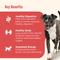 Show in main carousel: Rachael Ray Nutrish Real Turkey, Brown Rice & Venison Recipe Dry Food + Gentle Digestion Real Chicken, Pumpkin & Salmon Canned Dog Food slide 9 of 9