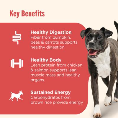 Show full view: Rachael Ray Nutrish Real Turkey, Brown Rice & Venison Recipe Dry Food + Gentle Digestion Real Chicken, Pumpkin & Salmon Canned Dog Food slide 9 of 9
