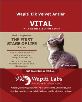 Show full view: Wapiti Labs Vital Formula Cat Supplement, 0.53-oz bottle slide 1 of 11