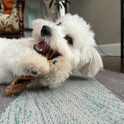 Show full view: Redbarn Collagen Braid Dog Chew, Small, 3 count slide 6 of 10