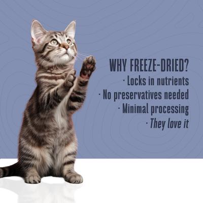 Show full view: Whole Life Just One Beef Freeze-Dried Cat Treats, 1.5-oz bag slide 6 of 11