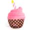 Show in main carousel: The Worthy Dog Birthday Pup Dog Toy, Pink, One Size slide 2 of 3