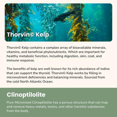 Show full view: Glacier Peak Holistics Super Cleanse Immune Supplement for Dogs & Cats, 3-oz slide 5 of 6