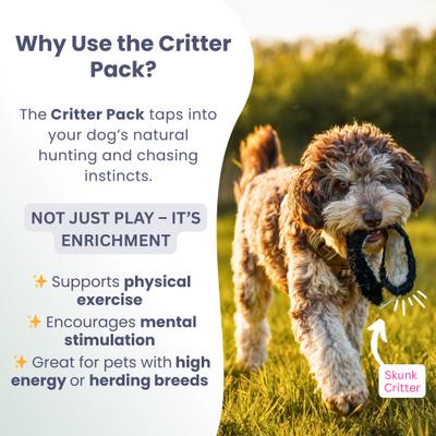 Show full view: SwiftPaws Critter Pack Dog Toy slide 4 of 7