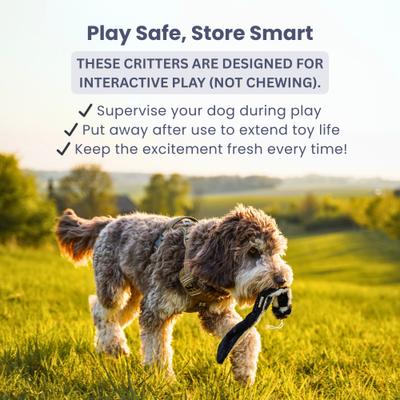 Show full view: SwiftPaws Critter Pack Dog Toy slide 7 of 7