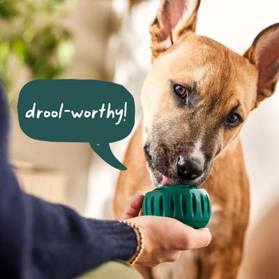 Show full view: Woof Starter Pack Chicken & Peanut Butter Flavored Treats, Silicone Mold & Pupsicle Dog Toy, Large slide 8 of 11