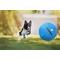 Show in main carousel: Herding Buddy Ball Dog Toy, Blue, 25-in slide 8 of 13