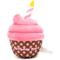 Show in main carousel: The Worthy Dog Birthday Pup Dog Toy, Pink, One Size slide 1 of 3