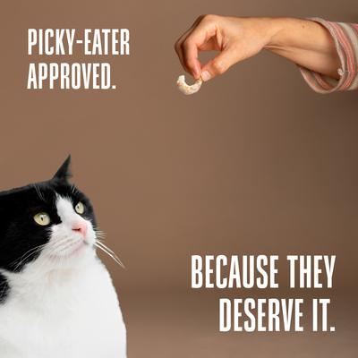 Show full view: Whole Life Just One Shrimp Freeze-Dried Cat Treats, 0.7-oz bag slide 8 of 11