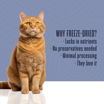 Show full view: Whole Life Just One Shrimp Freeze-Dried Cat Treats, 0.7-oz bag slide 6 of 11